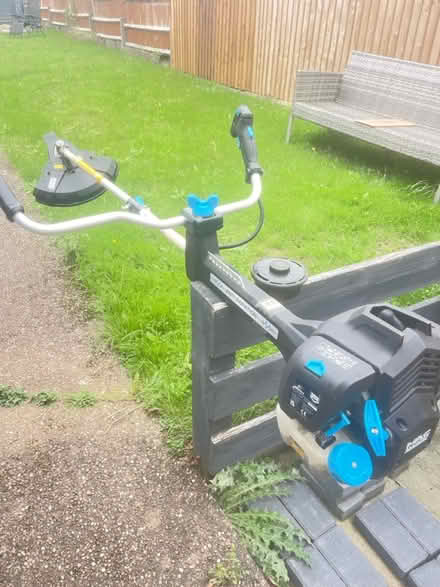 Photo of free Petrol strimmer (Littleover DE23) #1
