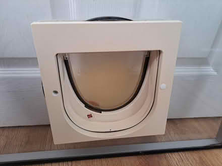 Photo of free Double Glazed Unit with Cat Flap (Horsham RH13) #4