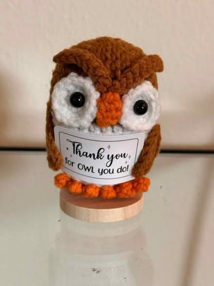 Photo of free Hand crocheted owl (San Jose Burbank Area) #1