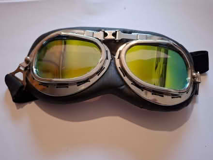 Photo of free dressing up goggles (Emmbrook RG41) #1