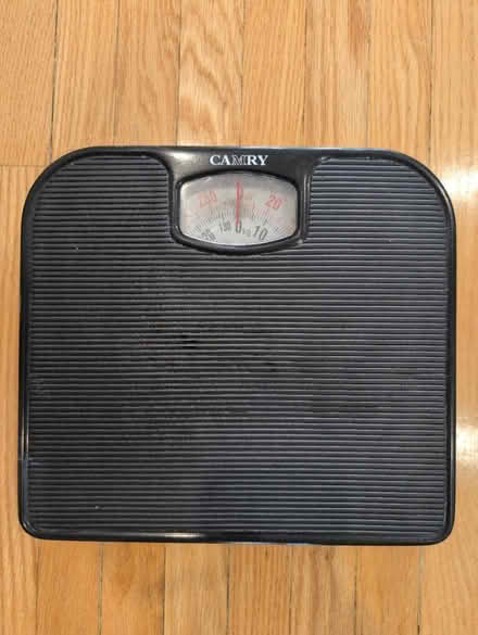 Photo of free Scale (Bloor St W & South Kingsway) #1