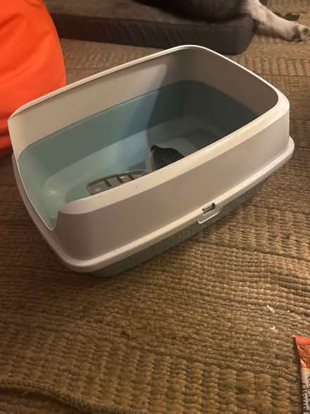 Photo of free Cat litter tray and scoop (Brockley SE4) #4