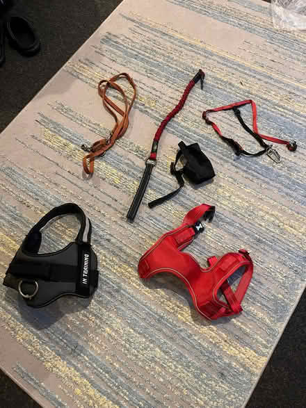 Photo of free Dog leads/harnesses (Barry CF62) #1