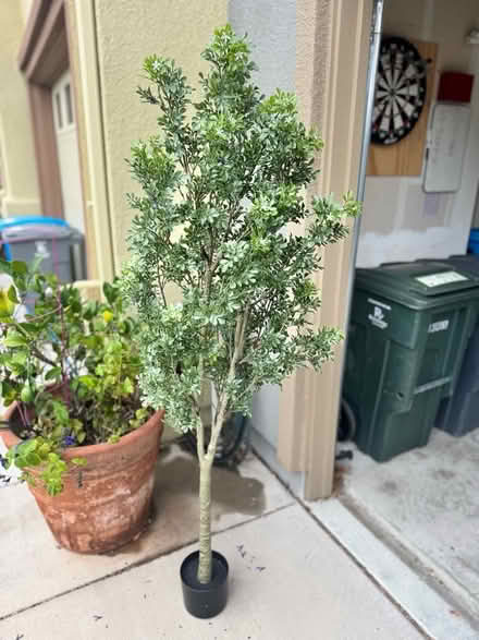 Photo of free Fake tree brand new (West Petaluma) #3