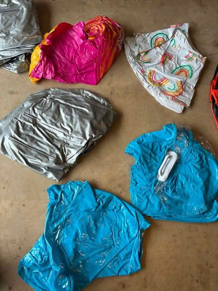 Photo of free Assorted inflatable pool floats (S. Leesburg near Banshee Reeks) #4