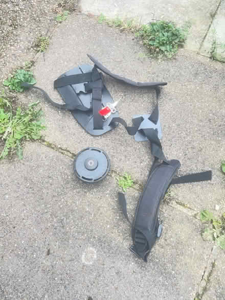 Photo of free Petrol strimmer (Littleover DE23) #2