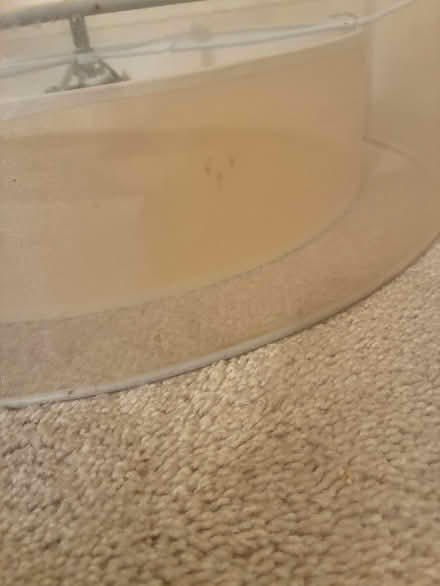 Photo of free Chandelier (Germantown near NWHS) #3
