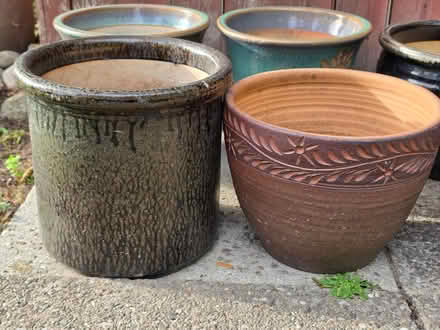 Photo of free Plant pots for the garden (CH60) #4
