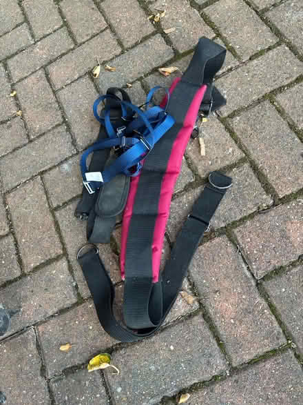 Photo of free Collection of straps (Hitchin SG4) #1