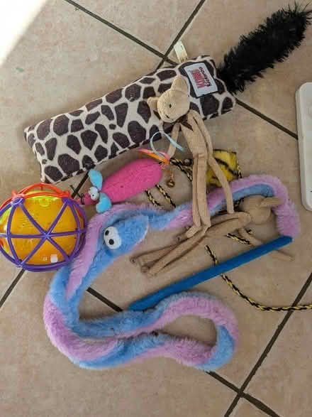 Photo of free Cat toys (Shippon OX13) #4