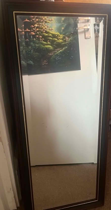 Photo of free Mirror (Barnes SW13) #1