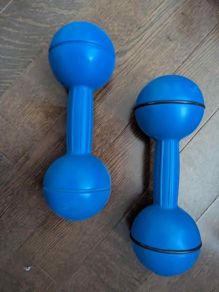 Photo of free 2.27kg weights (South Croydon CR2) #1