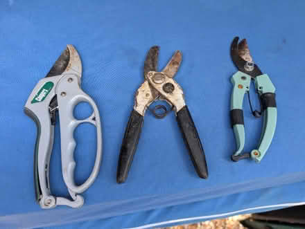 Photo of free 3x pairs secateurs (Winslow MK18) #1