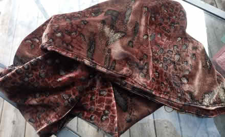 Photo of free several pretty scarves (Britannia) #2