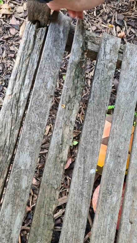 Photo of free Bench (Sherwood Dales - NG5) #2