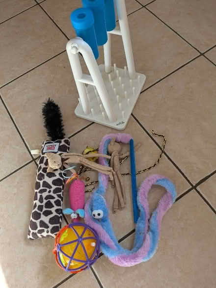 Photo of free Cat toys (Shippon OX13) #1