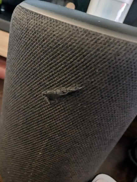 Photo of free Amazon Alexa (Belle Vue WF1) #2