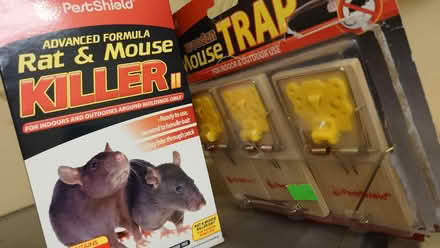 Photo of free Pest Control (Royal Leamington Spa CV31) #1