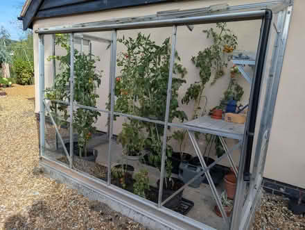 Photo of free Greenhouse (Diddlebury SY7) #3