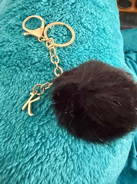 Photo of free New keyring (Westbury BA13) #1