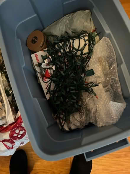 Photo of free Big Box of Christmas lights (East Weymouth) #2