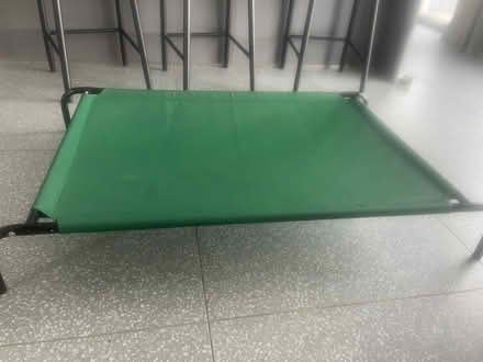 Photo of free Large raised dog bed (Malone road) #1