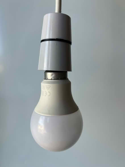 Photo of free Ceiling pendant light (Edinburgh EH8 Roxburgh St.) #2