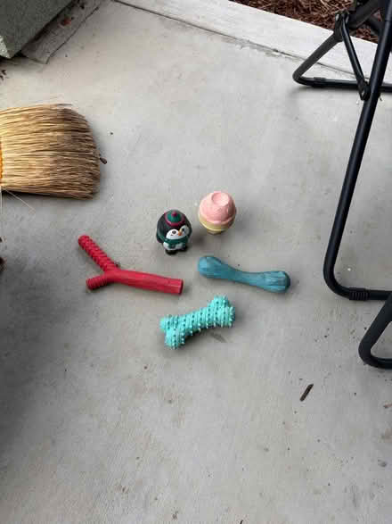 Photo of free Random dog chew toys (Spartan keyes) #1