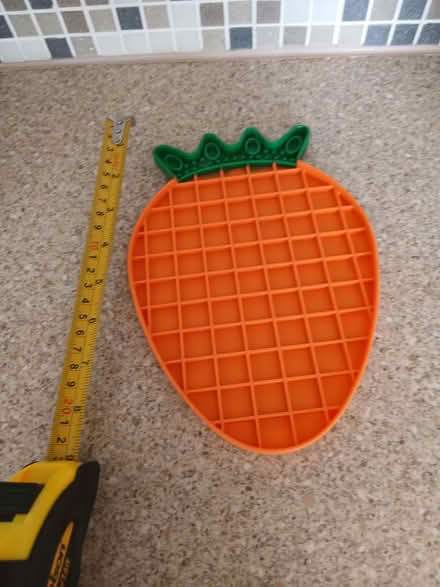 Photo of free Plastic Slow Feeder (Hoddesdon EN11) #1