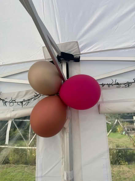 Photo of free 18 Party Balloons (Chipstead TN13) #1