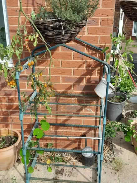 Photo of free Potting rack collapsible (Hockley Heath B94) #1
