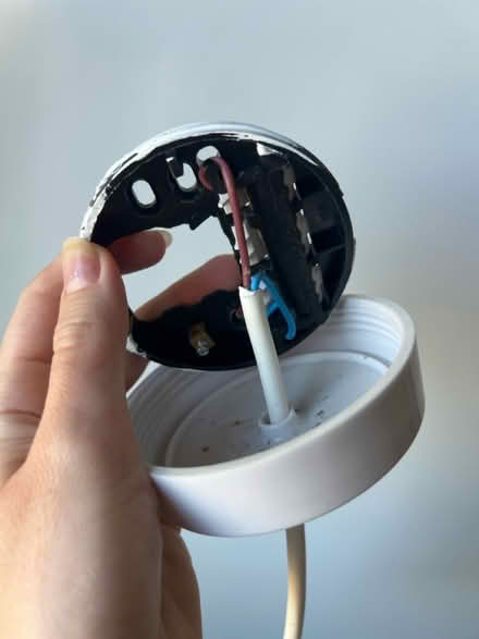 Photo of free Ceiling pendant light (Edinburgh EH8 Roxburgh St.) #4