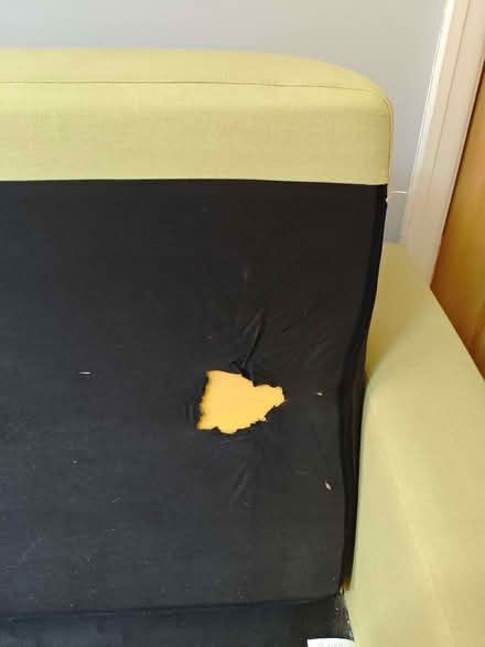 Photo of free Green sofa (Stirchley B29) #3