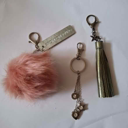 Photo of free 3 keyrings (Emmbrook RG41) #1