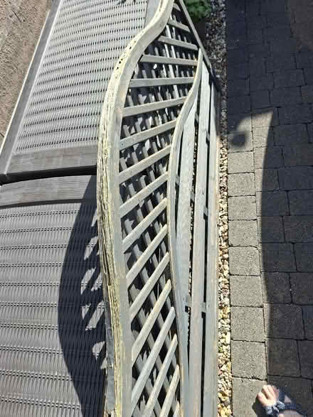 Photo of free 6 ft x 3 ft fence panel (Torrisholme LA4) #2