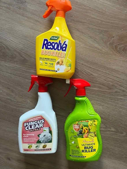 Photo of free Fungus clear and bug killer, yellow and white almost full (Craiglockhart EH14) #1
