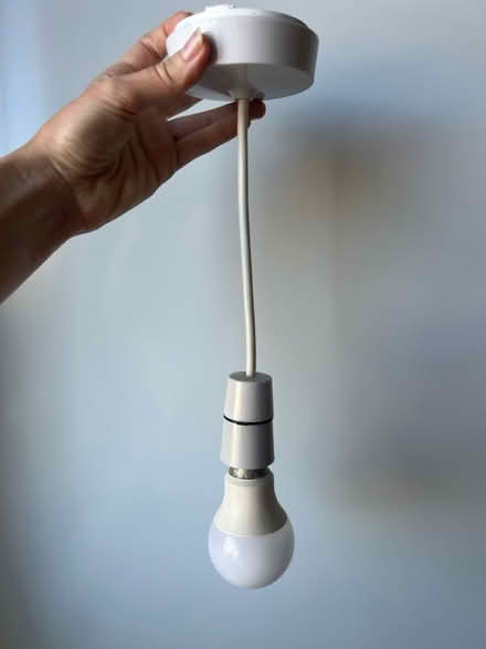 Photo of free Ceiling pendant light (Edinburgh EH8 Roxburgh St.) #1