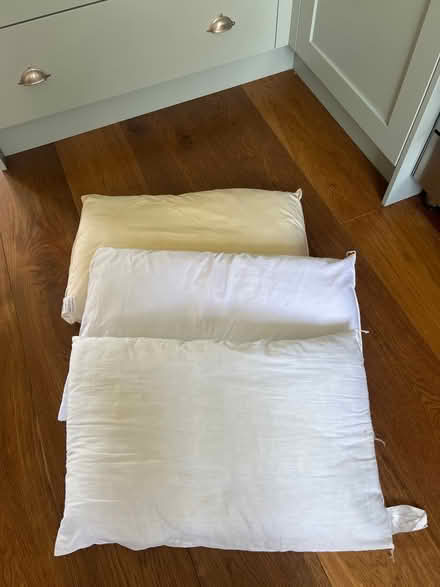 Photo of free Four pillows (Sw49bx) #1