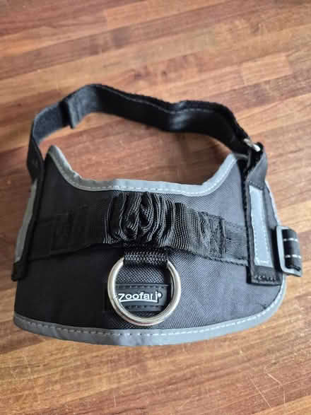 Photo of free Dog Harness (Bearwood. BH11) #1