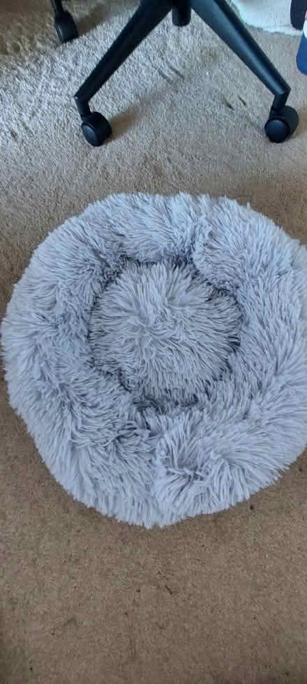 Photo of free Small grey animal bed (Stubbington PO14) #2