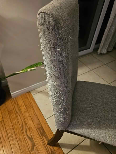 Photo of free Four dining room chairs (Green road stoney creek) #2