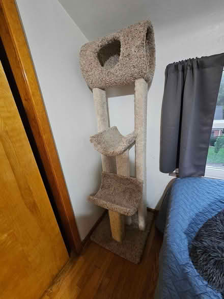 Photo of free Cat Tree (West View) #1