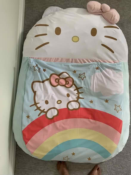 Photo of free Kitty bed for toddlers (Novi) #1