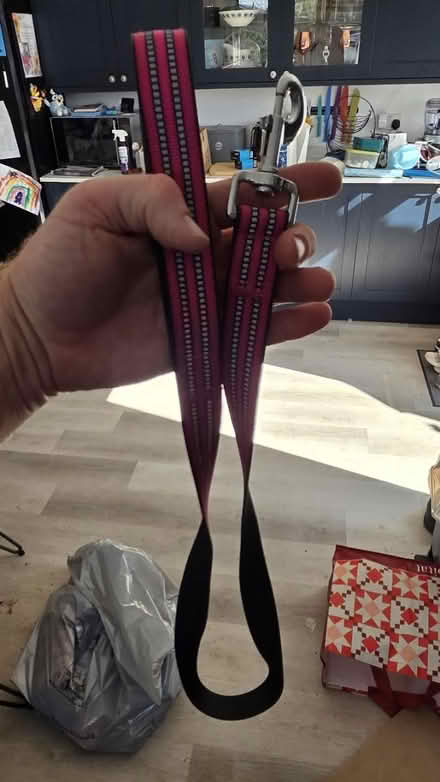 Photo of free Dog lead (Ingoldisthorpe, PE31) #1