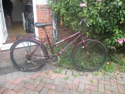 Photo of free bicycle (Townsend BH8) #1