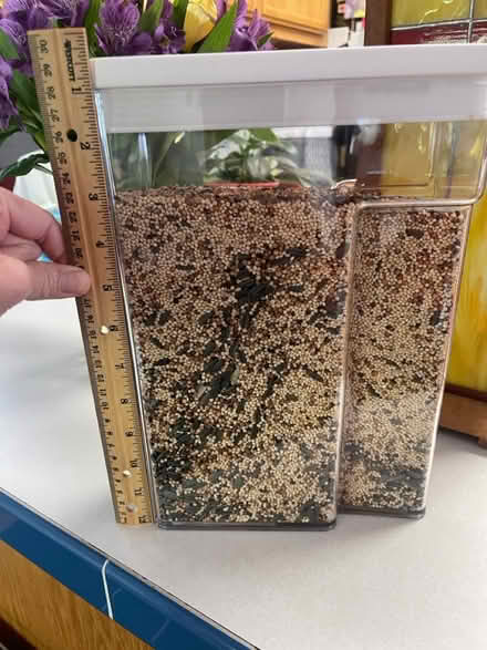 Photo of free No-Mess Bird Seed (Santiago Villa) #1