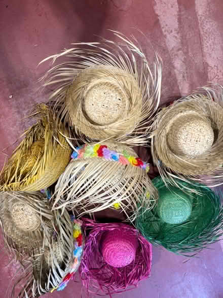 Photo of free Luau party supplies (Villages of Urbana) #3