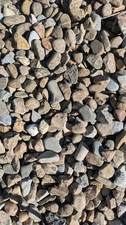 Photo of free Garden pebbles/gravel (Stocksfield NE43) #2