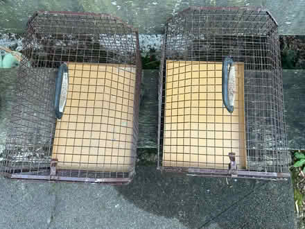 Photo of free Animal carriers (Cupar KY15) #2