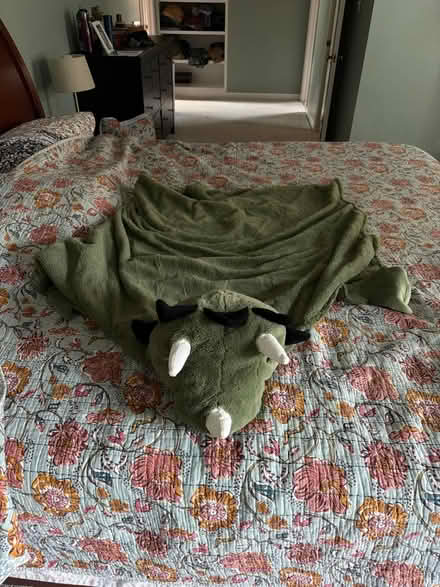 Photo of free Dinosaur blanket (Near Montrose Rd and 270) #1